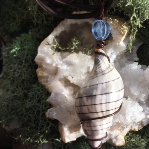 May include: A seashell pendant necklace with a brown leather cord and a blue glass bead. The seashell is wrapped in copper wire and has a white and brown striped pattern.