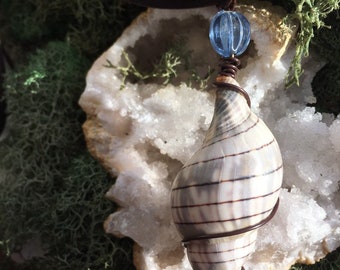 Seashell Wire Wrapped Necklace with Bead