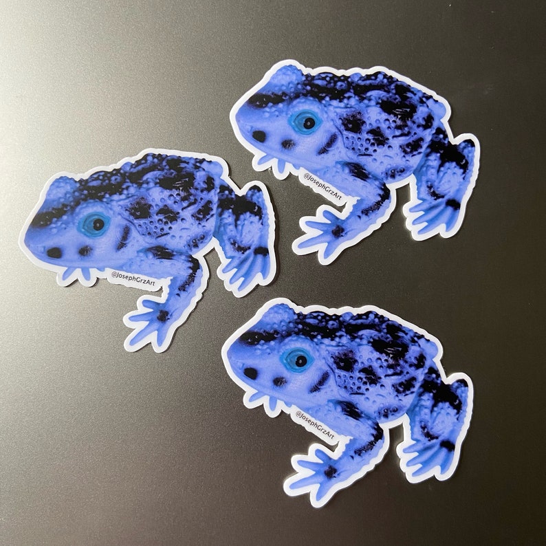 Frog Stickers Vinyl Stickers Water Bottle Stickers Etsy