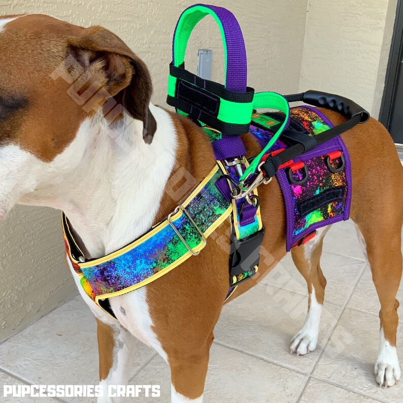 Service Dog Vest Service Dog Dog Collar Dog Harness Etsy