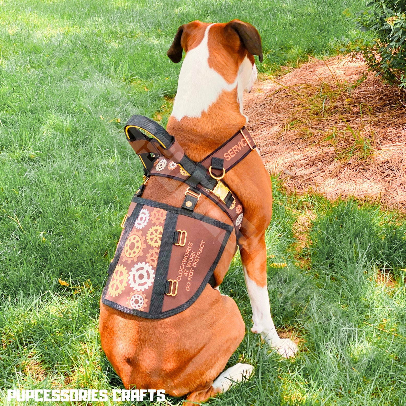 Advanced Y Front & Cape Harness Service Dog Vest Service Etsy