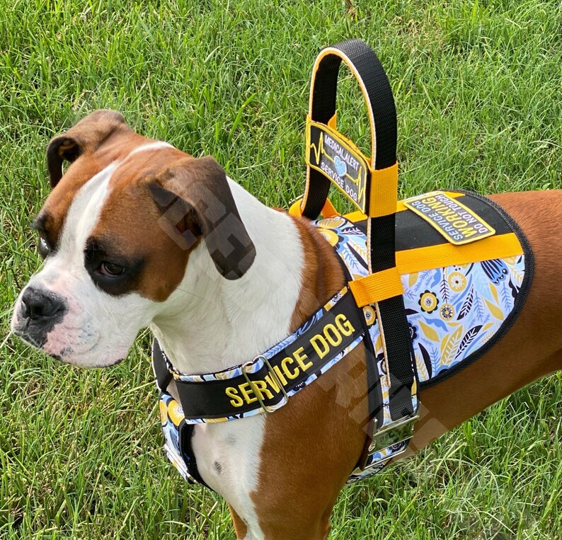 CB Handle Pull Strap Guide Handle Handles Counter Balance Etsy