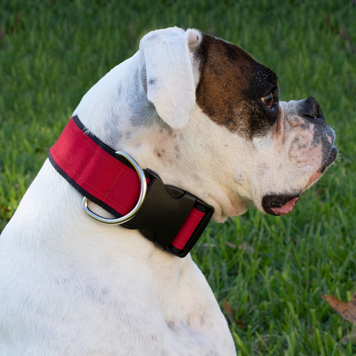 2 Tactical Collar Service Dog Vest Service Dog Dog Etsy