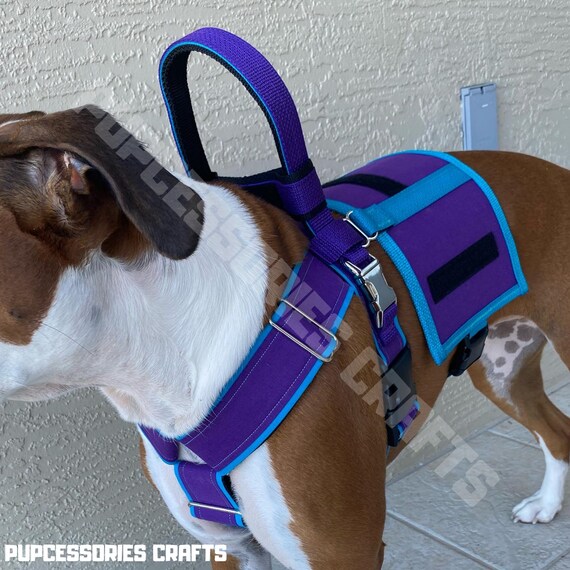 Service Dog Vest Service Dog Dog Collar Dog Harness Etsy