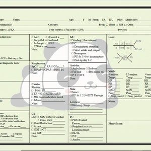 Nurse&#39;s Report Sheet - panda background