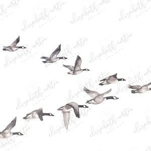 Flying Canada Geese Watercolor PRINT Landscape Flying Geese - Etsy