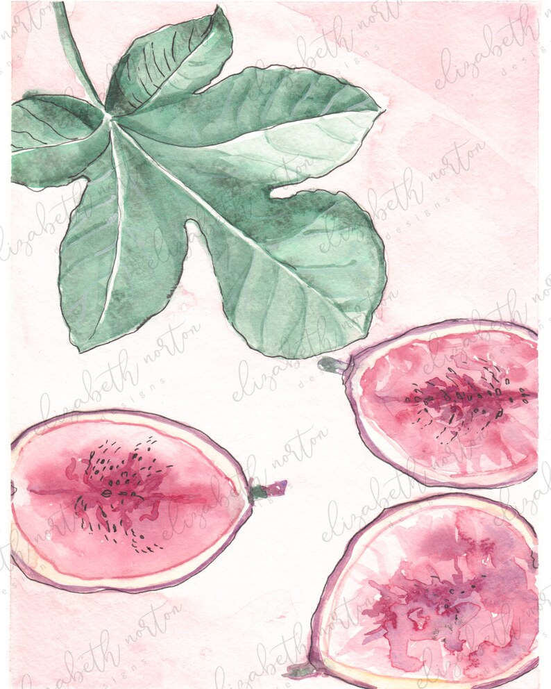boho wall art Fig Leaves Watercolor Print modern botanical art Fruit Wall art Fig Wall Art bedroom wall art Fig watercolor print