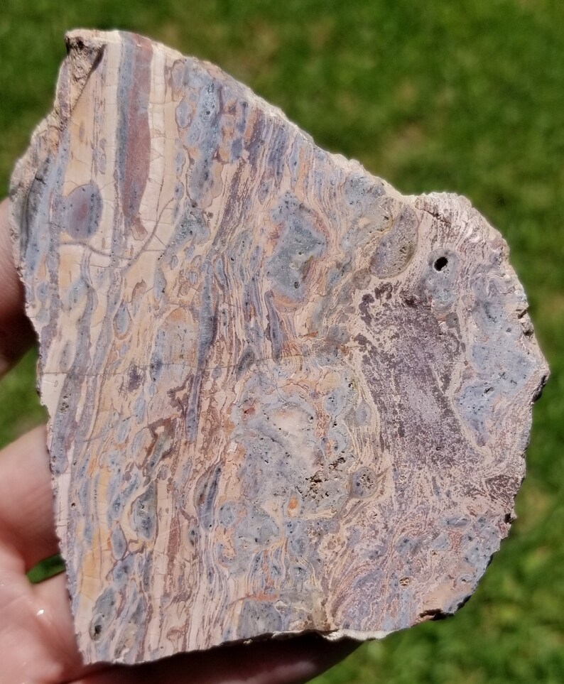 Lapidary Slab Rhyolite Slab Jasper Slab 3 Cadiz Paisley Rhyolite Slab Stone Slab Cadiz Paisley Jasper Slab Cabbing Slab