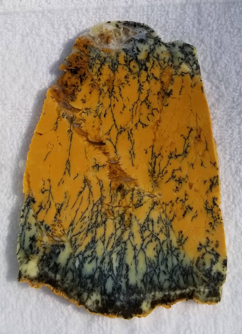 Dendritic Opalite Slab Australian Opal Slab Opalite Slab Dendritic Opal Slab Dendritic Opal Rough. Australian Dendritic Opal Slab