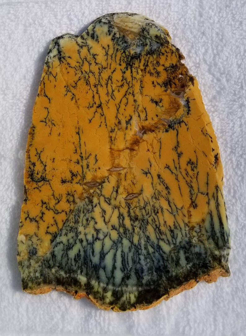 Dendritic Opalite Slab Australian Opal Slab Opalite Slab Dendritic Opal Slab Dendritic Opal Rough. Australian Dendritic Opal Slab