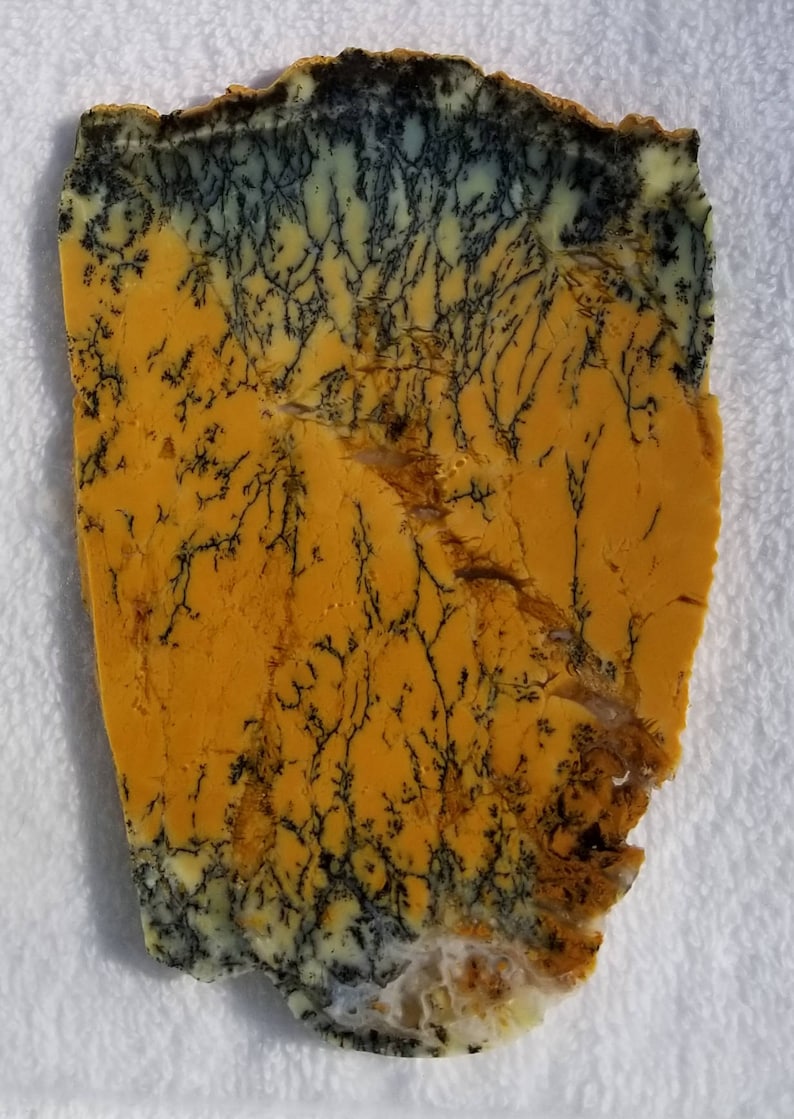 Dendritic Opalite Slab Australian Opal Slab Opalite Slab Dendritic Opal Slab Dendritic Opal Rough. Australian Dendritic Opal Slab