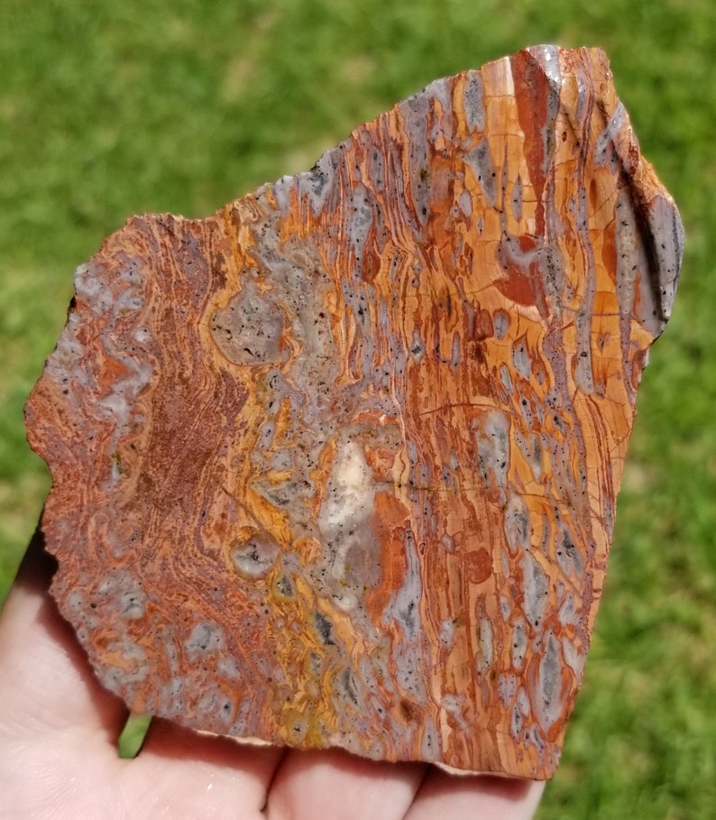 Lapidary Slab Rhyolite Slab Jasper Slab 3 Cadiz Paisley Rhyolite Slab Stone Slab Cadiz Paisley Jasper Slab Cabbing Slab