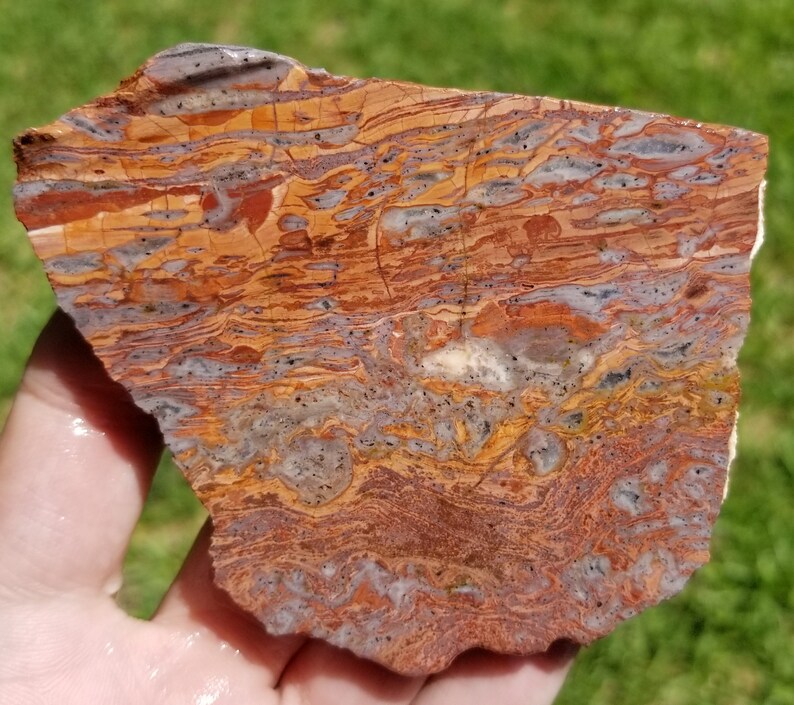 Lapidary Slab Rhyolite Slab Jasper Slab 3 Cadiz Paisley Rhyolite Slab Stone Slab Cadiz Paisley Jasper Slab Cabbing Slab