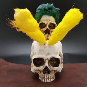 May include: A white skull with green and yellow hair. The skull is wearing a green wig and two yellow feather hair extensions.