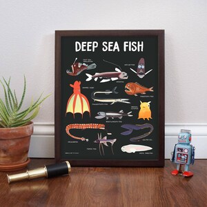 May include: A black and white illustration of deep sea fish on a black background. The illustration includes a deep sea anglerfish, a viperfish, a vampire squid, a dragonfish, a bristlemouth fish, a gulper eel, a tripod fish, a  saddled  shark, a  fangtooth fish, an  armored octopus, a  pinecone fish, and a  snailfish. The text "DEEP SEA FISH" is at the top of the illustration.