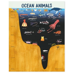 Ocean Animal Print Ocean Animal Watercolor Print Marine Biology Art Marine Biology Poster Print Ocean Art Ocean Wall Art Fish Art Fish Print