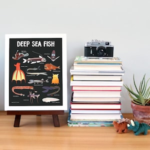 May include: A black and white illustration of deep sea fish with their names listed below. The illustration is on a white background and is framed with a wooden easel.