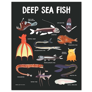 May include: An illustrated chart of deep sea fish with their names. The fish are depicted in various colors, including red, orange, yellow, blue, and green. The chart is on a black background.