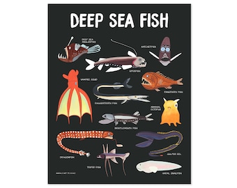 Fish Print Deep Sea Fish Poster Fish Art Kids Room Decor Art for Kids Room Illustration Print Kids Wall Art Educational Posters Prints