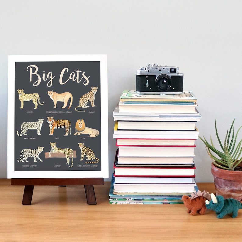 Big Cats Poster Educational Posters Kids Safari Nursery Decor image 4