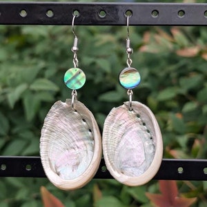 May include: A pair of dangle earrings featuring iridescent abalone shell pendants. Each earring has a small, round, green and blue bead above the shell. The earrings hang from silver-colored fish hook ear wires. The background is blurred green foliage.