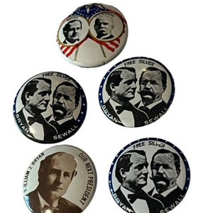 Bryan Sewall Silver pinback presidente elección pin botón campaña mucho político