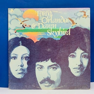 VINYL RECORD VINTAGE 33 rpm music album lp vtg with cover sleeve mcm 12 inch 12&quot; Tony Orlando and dan&#39;n skybird