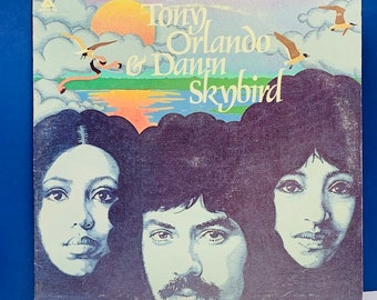 VINYL RECORD VINTAGE 33 rpm music album lp vtg with cover sleeve mcm 12 inch 12" Tony Orlando and dan'n skybird