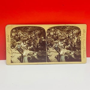 STÉRÉOVIEW sépia photographie antique 1896 photo image americana USA éphémères Jarvis marché place Cologne Allemagne sous-bois
