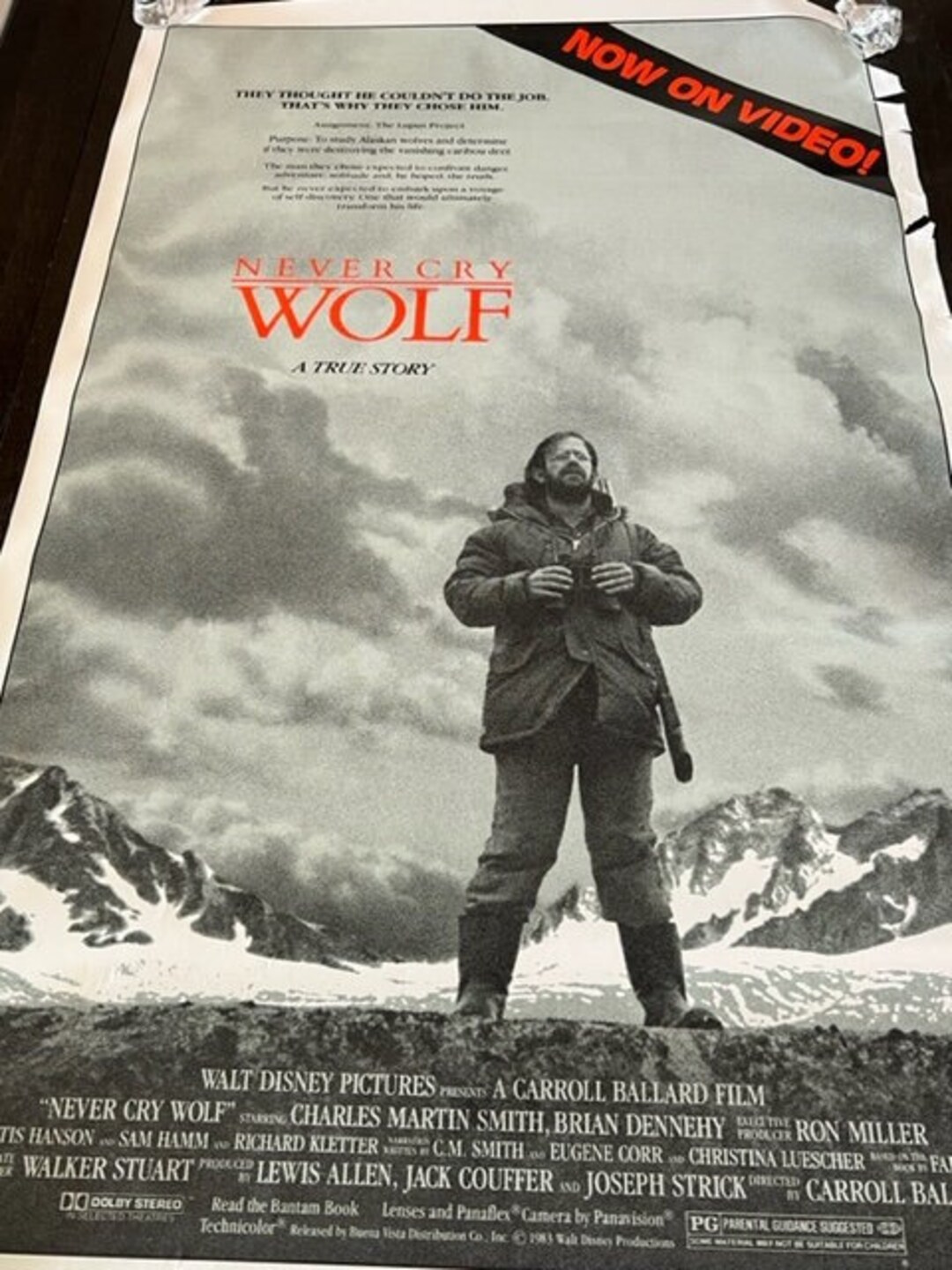 Movie Theater Cinema Poster Lobby Card 1983 Never Cry Wolf - Etsy 日本