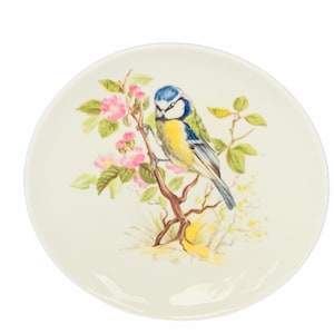 BIRD COLLECTOR PLATE vintage fine bone china porcelain vtg mcm flower floral tree limb gift decor watcher bluebird blue