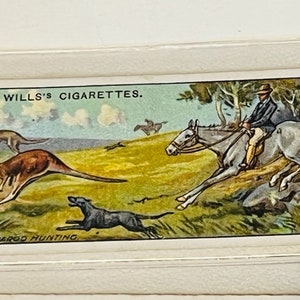 Wills Overseas Dominion HO Tobacco Australia Card 1908 WD Kangaroo Hunting vtg