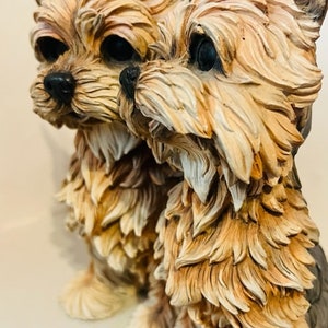 Yorkies of the Shire - Yorkshire Terrier Puppies for Sale in East Alton Yorkies of the Shire - Yorkshire Terrier Puppies for Sale in East Alton
