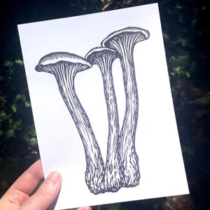 MUSHROOM TRIO PRINT, Mushroom print, mushroom art, linocut, linocut print, block print, mushroom decor, mushroom, relief printmaking