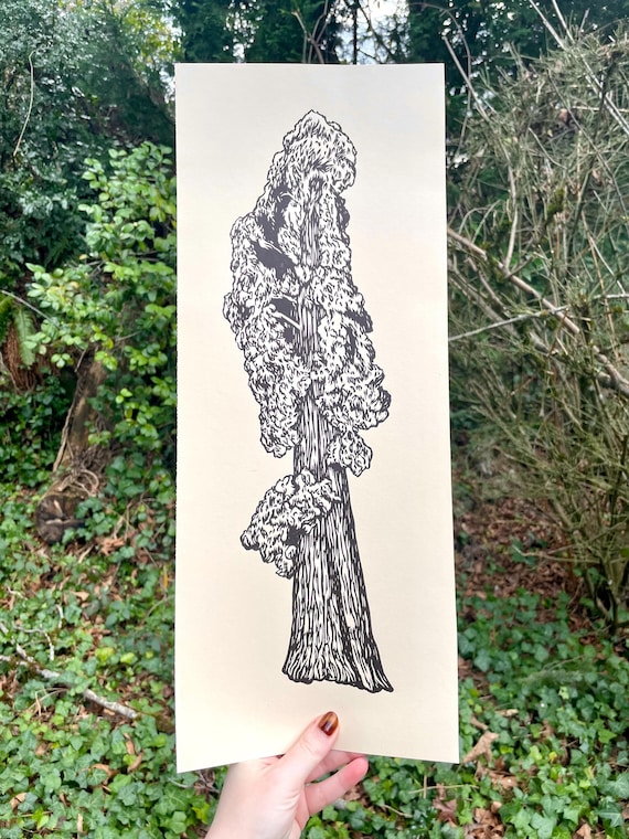 SEQUOIA LINOCUT PRINT, Sequoia Print, Tree Print, Redwood, Tree art, Forest, sequoia art, block print, Redwood print, block print, wall art