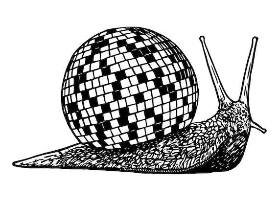 Personal Use of Disco Snail Design for Erin Evans