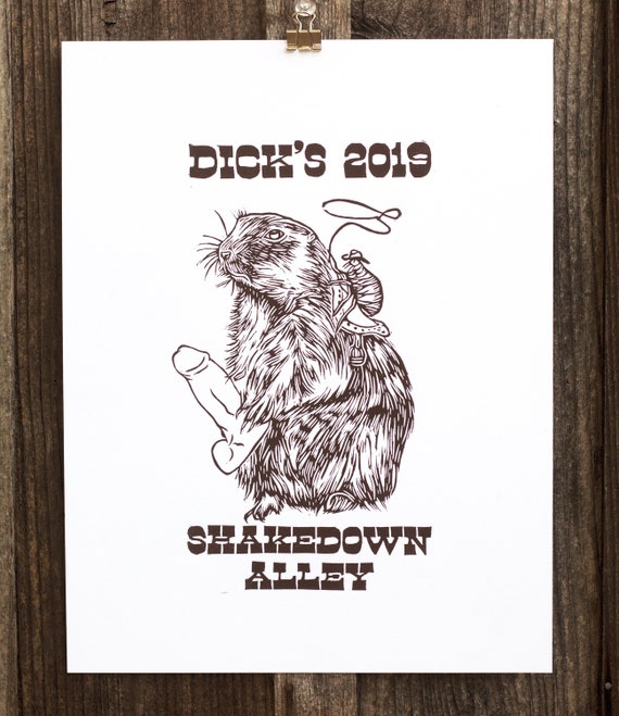 SHAKEDOWN ALLEY PRINT, Prairie Dog Plague, Phish print, Phish Dicks, Phish art, Phan art, Dicks 2019