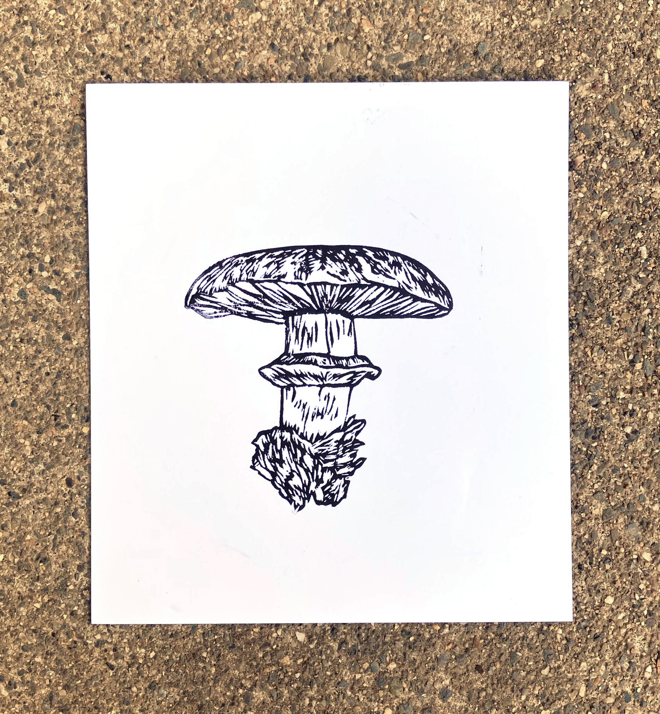 I can't get over how beautiful these linocut prints of mushrooms