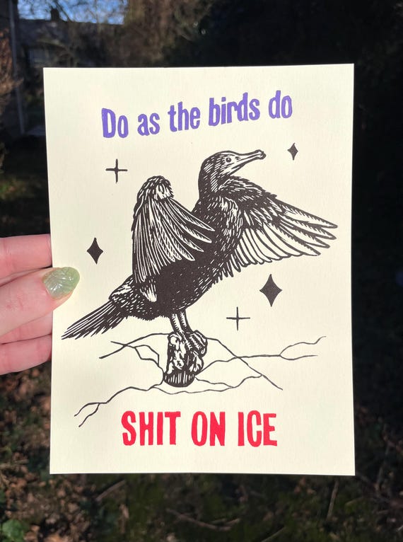 Cormorant Linocut Print, Bird Print, Bird art, Cormorant print, cormorant