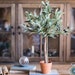 Artificial Small Olive Tree 24' Tall 