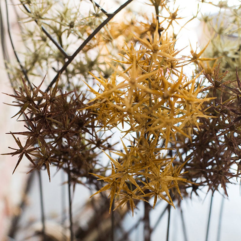 Artificial Plant Star Thorn Plant Stem 18 Tall Etsy