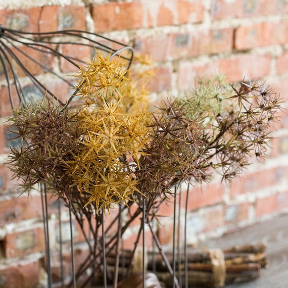 Artificial Plant Star Thorn Plant Stem 18 Tall Etsy