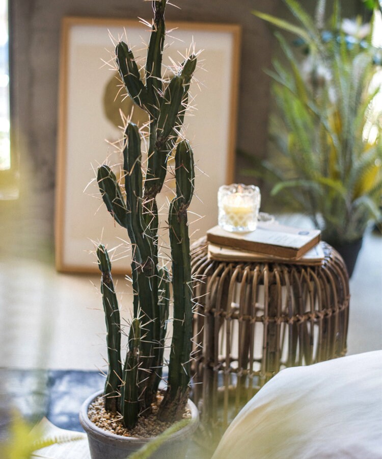 Artificial Plant Chihuahua Desert Cactus - Etsy