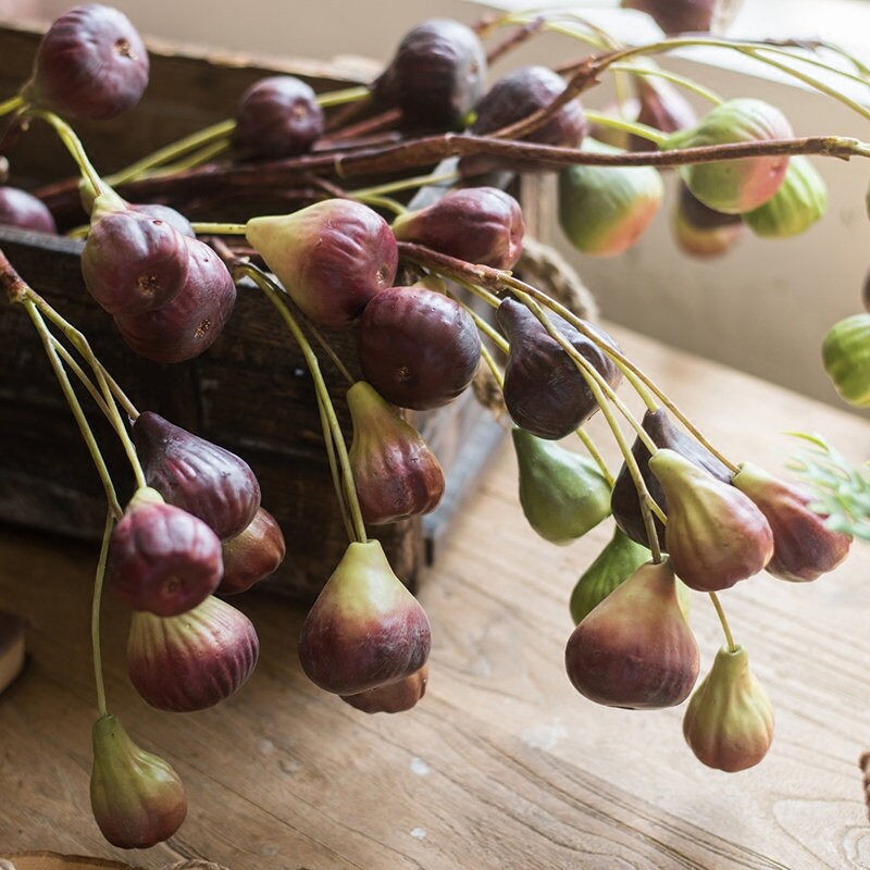 Artificial Fig Fruit Stem 46 Tall Etsy