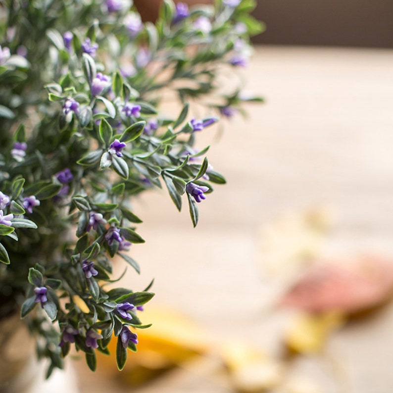 Artificial Plant Silk Small Orchid Stem Set in Purple 13 Etsy