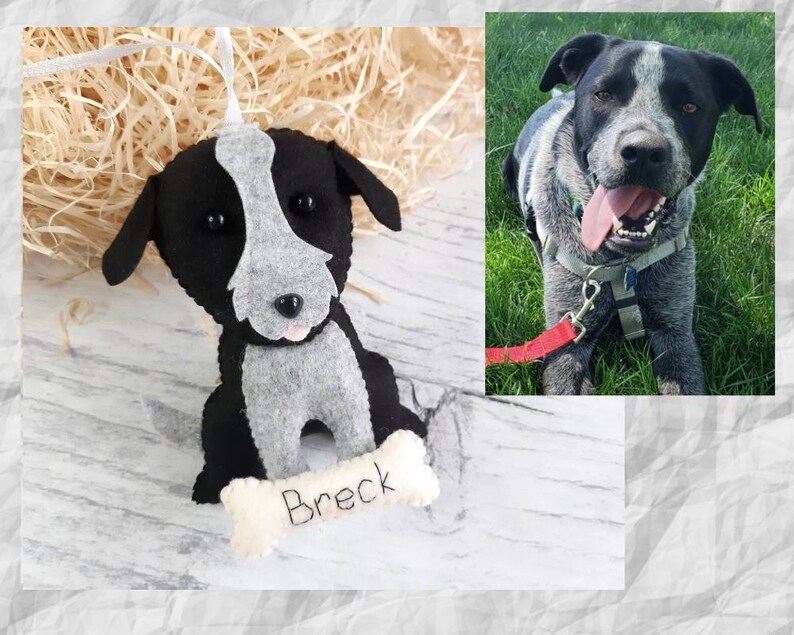 Puede incluir: Un adorno de fieltro de un perro blanco y negro con una mancha gris en la cara. El adorno sostiene un hueso con el nombre "Breck" bordado.