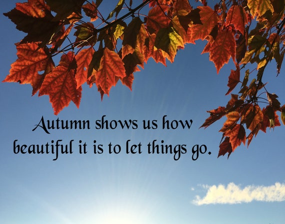 Autumn shows us how beautiful it is to let things go Digital | Etsy