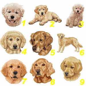 May include: Nine different images of golden retriever dogs. Each image shows a different dog with a different expression. The dogs are all looking at the camera.