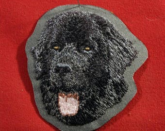 Border Collie Badge Patch Embroidery Fusible Sewing Dog Etsy