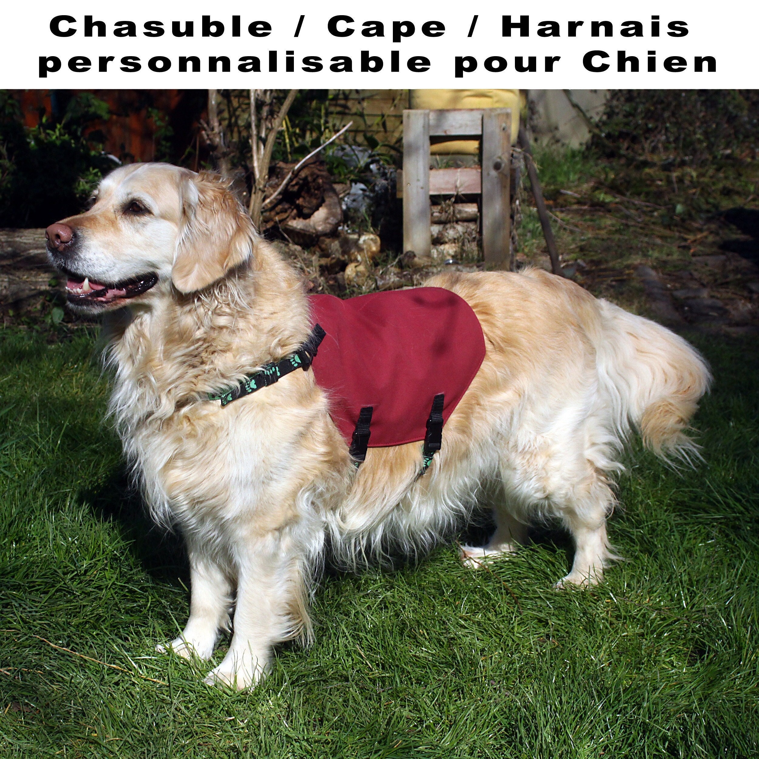 Cape/Chasuble Veste Harnais Personnalisable Pour Chien d'assistance By Team Numérik